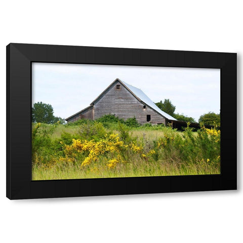 Summer Barn  Black Modern Wood Framed Art Print by Wilson, Gerry