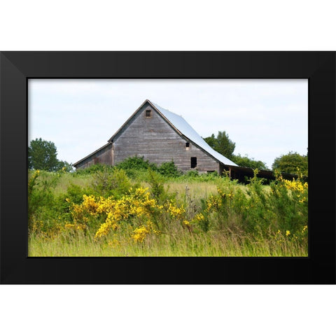 Summer Barn  Black Modern Wood Framed Art Print by Wilson, Gerry