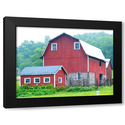 Spring Red Barn  Black Modern Wood Framed Art Print by Wilson, Gerry