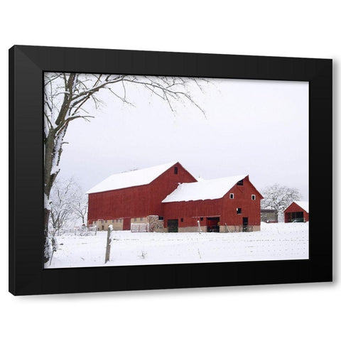 Red Winter Barn  Black Modern Wood Framed Art Print by Wilson, Gerry