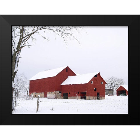 Red Winter Barn  Black Modern Wood Framed Art Print by Wilson, Gerry