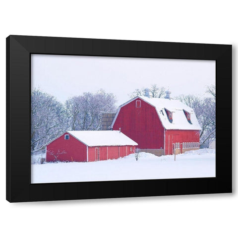 Winter Red Barn  Black Modern Wood Framed Art Print by Wilson, Gerry