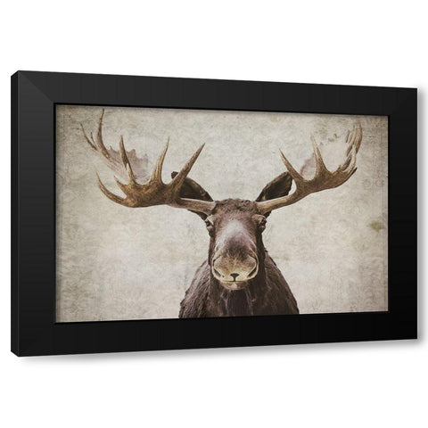 Elmer  Black Modern Wood Framed Art Print with Double Matting by Cook, Natasia