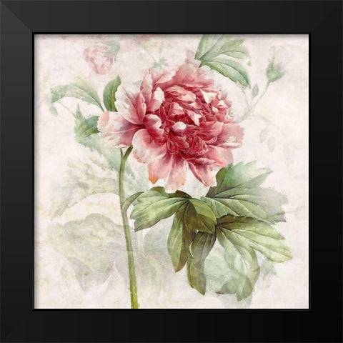 Ruby Floral I  Black Modern Wood Framed Art Print by Hunziker, Steve