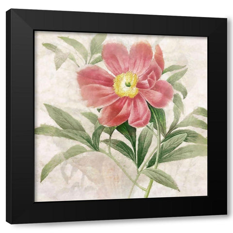 Ruby Floral II Black Modern Wood Framed Art Print by Hunziker, Steve