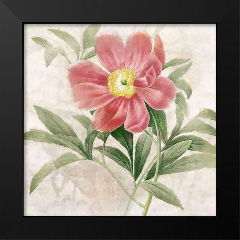 Ruby Floral II Black Modern Wood Framed Art Print by Hunziker, Steve
