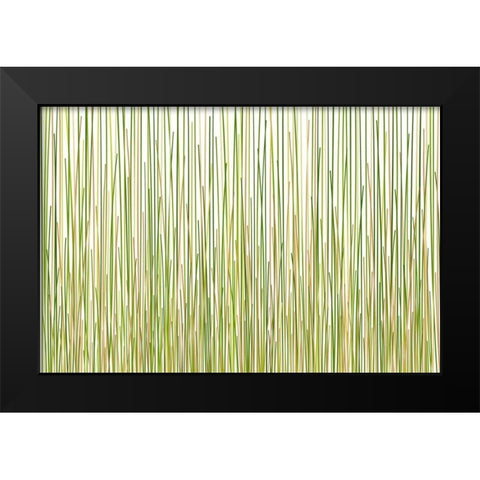 Grass Curtain Black Modern Wood Framed Art Print by Terra Jungle