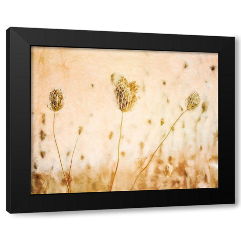 Lace in Autumn  Black Modern Wood Framed Art Print with Double Matting by Halli, Hal