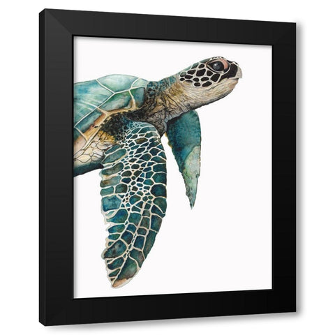 Great Sea TurtleÂ  Black Modern Wood Framed Art Print with Double Matting by Hatfield, Jodi
