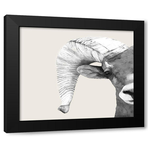 Rambo  Black Modern Wood Framed Art Print with Double Matting by Hatfiled, Jodi