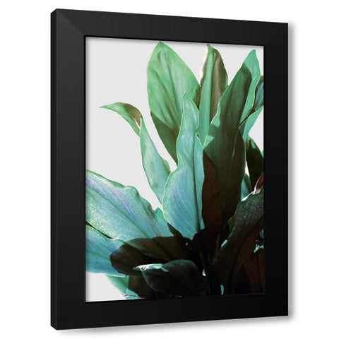 Green Leaves I Black Modern Wood Framed Art Print by Bainbridge, Hope