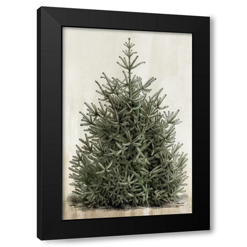 Forest Beauty  Black Modern Wood Framed Art Print with Double Matting by PI Studio