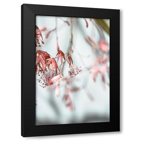 Leaves Palladium Black Modern Wood Framed Art Print with Double Matting by Smith, M.