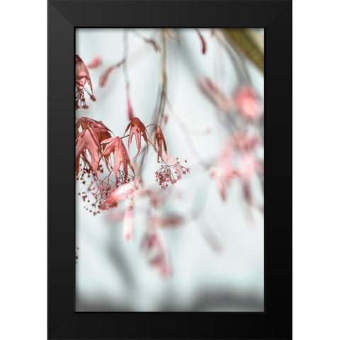 Leaves Palladium Black Modern Wood Framed Art Print by Smith, M.