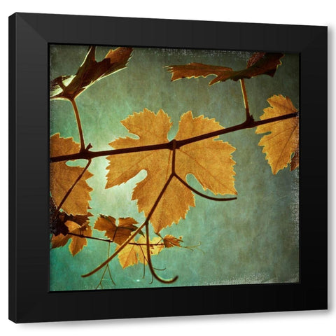 Divine I Black Modern Wood Framed Art Print with Double Matting by Harston-Weddle, Ryan