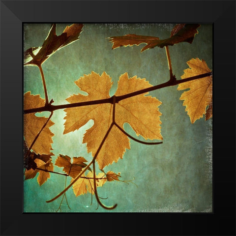 Divine I Black Modern Wood Framed Art Print by Harston-Weddle, Ryan