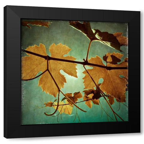 Divine III Black Modern Wood Framed Art Print by Harston-Weddle, Ryan
