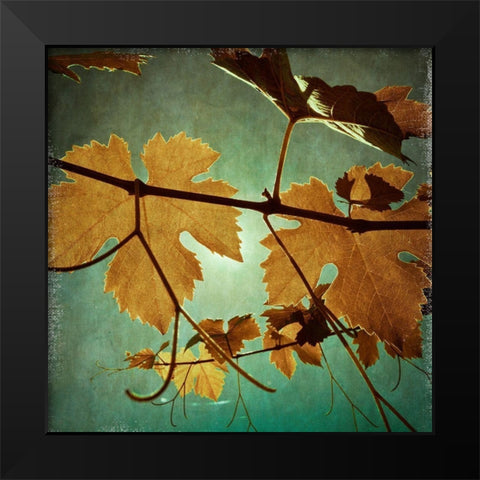 Divine III Black Modern Wood Framed Art Print by Harston-Weddle, Ryan