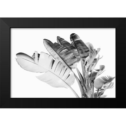 Tropical Velvet I - BW  Black Modern Wood Framed Art Print by Hartson- Weddle, Ryan