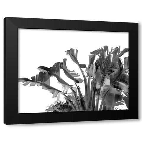 Tropical Velvet II - BW  Black Modern Wood Framed Art Print by Hartson- Weddle, Ryan