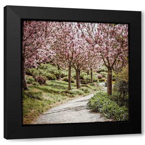Virtues II Black Modern Wood Framed Art Print with Double Matting by Weddle, Ryan Harson