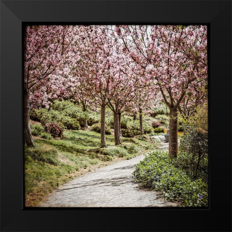 Virtues II Black Modern Wood Framed Art Print by Weddle, Ryan Harson
