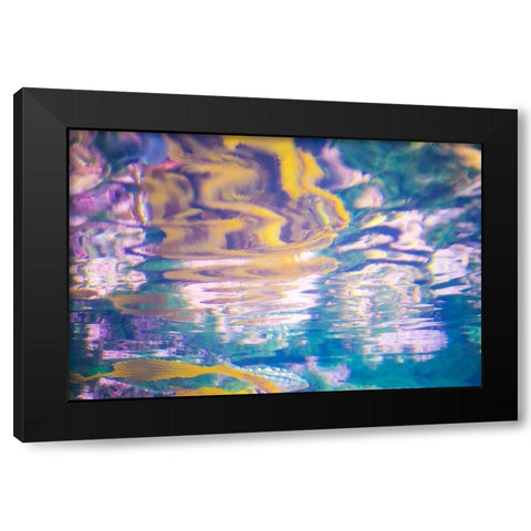 Aquatica II  Black Modern Wood Framed Art Print by Hartson-Weddle, Ryan