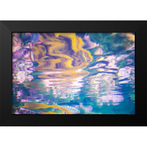 Aquatica II  Black Modern Wood Framed Art Print by Hartson-Weddle, Ryan