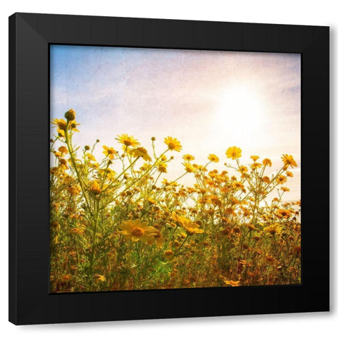Sun Reacher  Black Modern Wood Framed Art Print by Weddle, Ryan Hartson