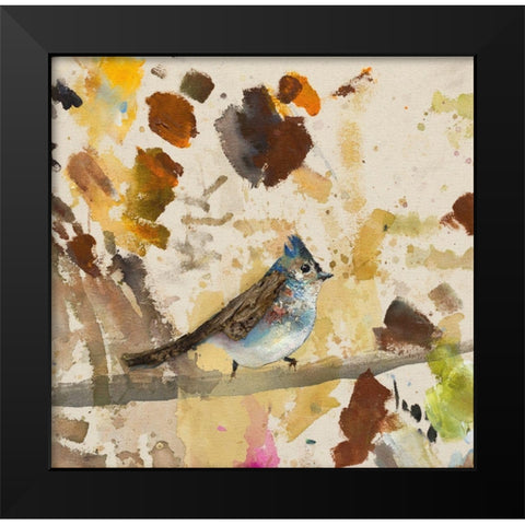 Blue Jay  Black Modern Wood Framed Art Print by St Amant, Daniel