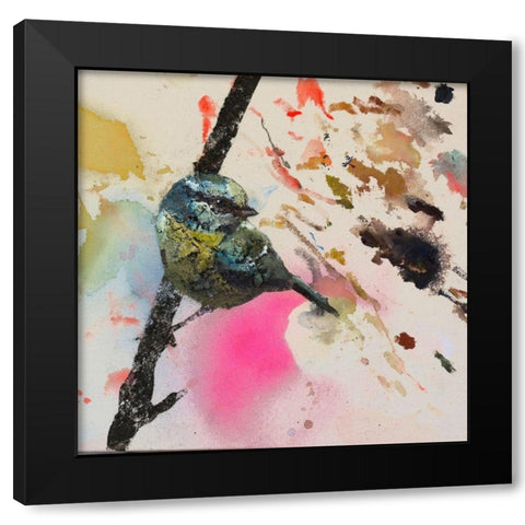 Blue Western Tanager  Black Modern Wood Framed Art Print by St Amant, Daniel
