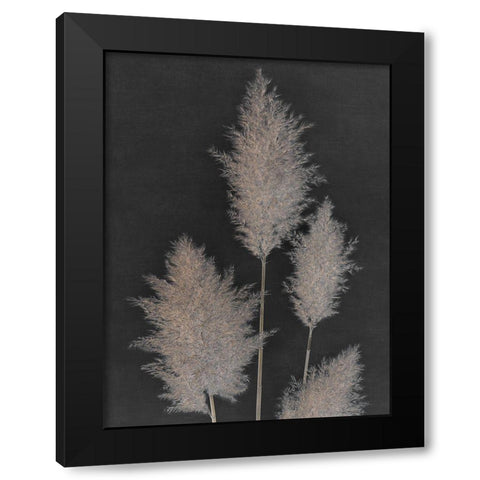 Midnight Pampas Grass I  Black Modern Wood Framed Art Print by Singh, Dan
