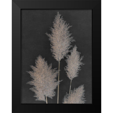 Midnight Pampas Grass I  Black Modern Wood Framed Art Print by Singh, Dan