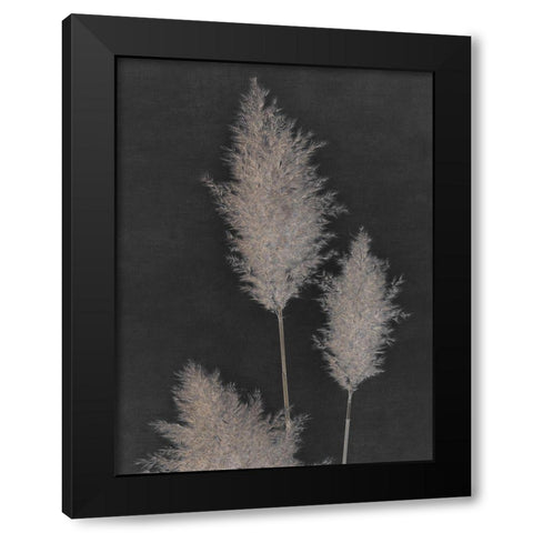 Midnight Pampas Grass II  Black Modern Wood Framed Art Print by Singh, Dan