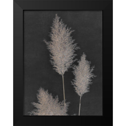 Midnight Pampas Grass II  Black Modern Wood Framed Art Print by Singh, Dan