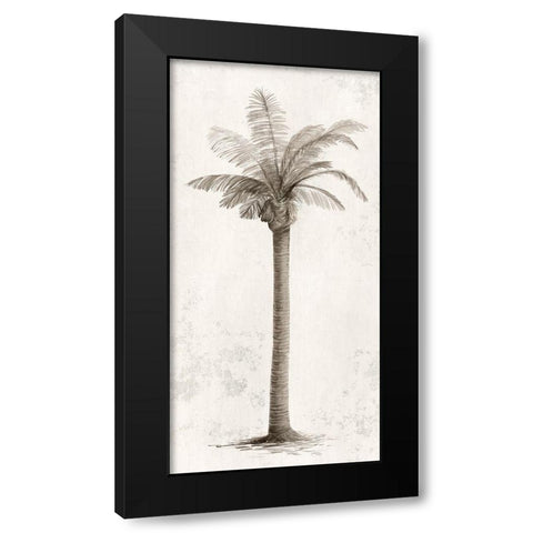 Vintage Palm Tree I  Black Modern Wood Framed Art Print by Ian C