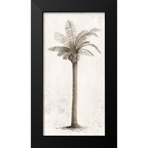 Vintage Palm Tree I  Black Modern Wood Framed Art Print by Ian C