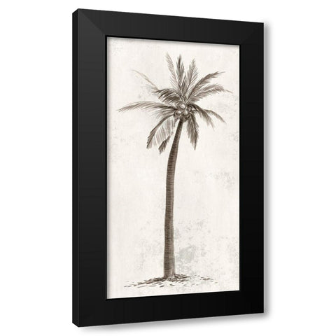 Vintage Palm Tree II Black Modern Wood Framed Art Print with Double Matting by Ian C