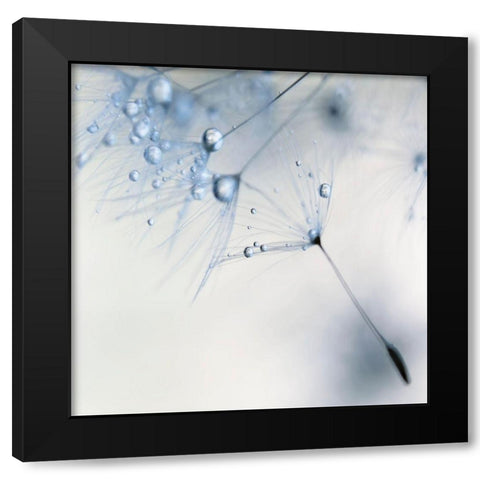 Baby Blue Black Modern Wood Framed Art Print by Beddoes, Ingrid