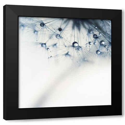 Indigo Black Modern Wood Framed Art Print with Double Matting by Beddoes, Ingrid