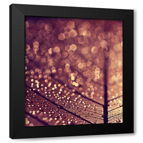 Gold Black Modern Wood Framed Art Print with Double Matting by Beddoes, Ingrid