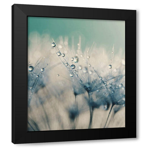 Bashful Blue Black Modern Wood Framed Art Print with Double Matting by Beddoes, Ingrid