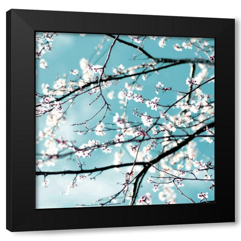 Spring blossoms blue Black Modern Wood Framed Art Print by Beddoes, Ingrid