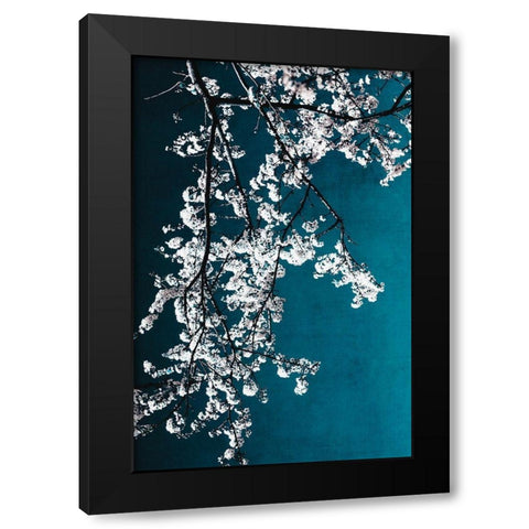 White Blossoms Black Modern Wood Framed Art Print by Beddoes, Ingrid