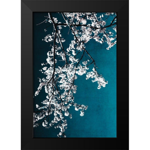 White Blossoms Black Modern Wood Framed Art Print by Beddoes, Ingrid