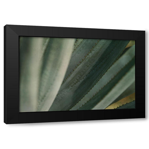 Agave Tequiliana Black Modern Wood Framed Art Print by Valner, Jessica
