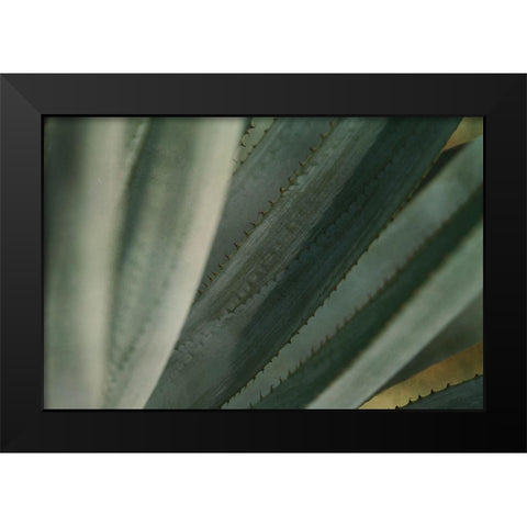 Agave Tequiliana Black Modern Wood Framed Art Print by Valner, Jessica