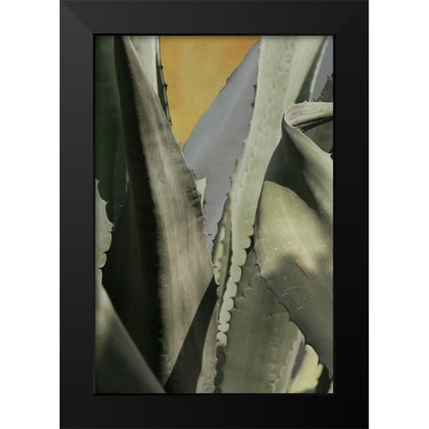 Agave Deserti I Black Modern Wood Framed Art Print by Valner, Jessica