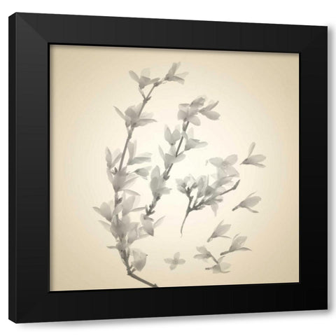 Sway Black Modern Wood Framed Art Print with Double Matting by Stalus, Judy