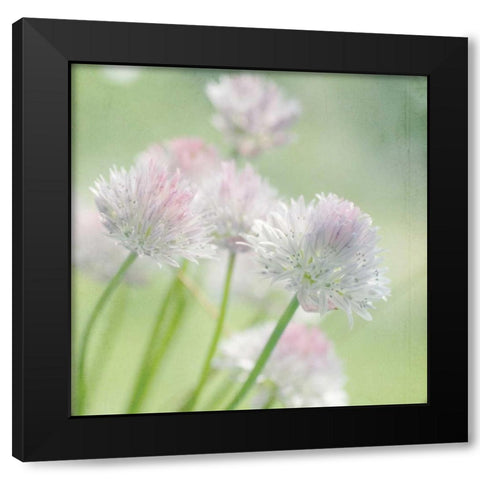 Reach Black Modern Wood Framed Art Print with Double Matting by Stalus, Judy